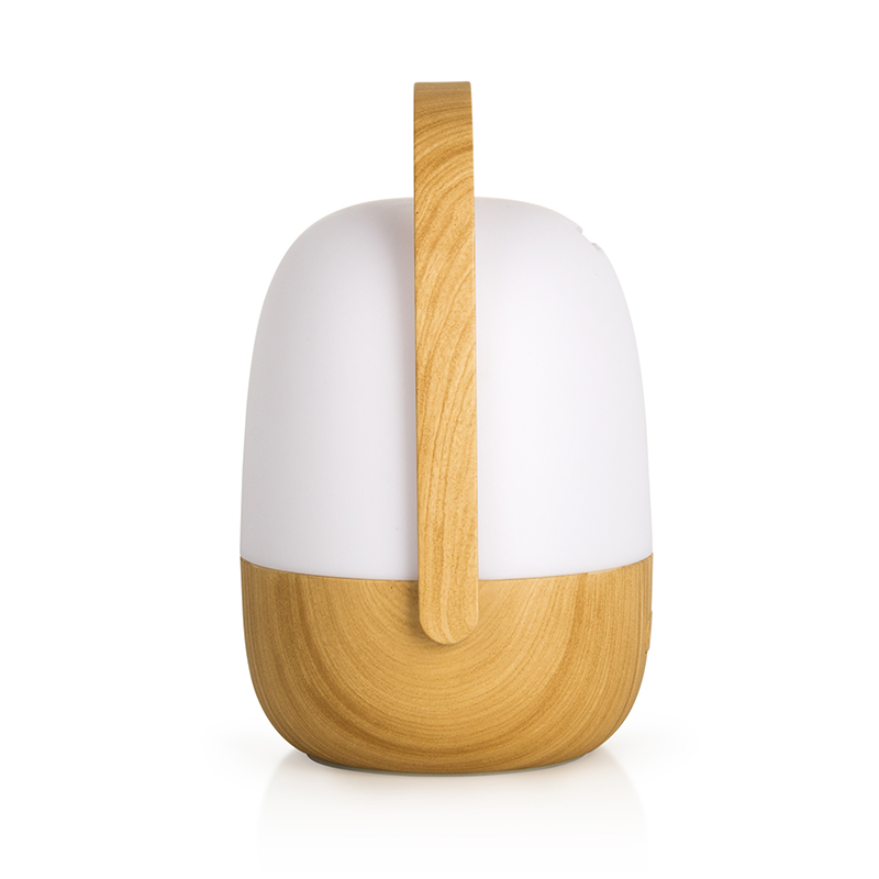 essential oils diffuser